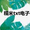 糯米txt電子書下載（糯米txt電子書論壇）