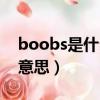 boobs是什么意思中文翻譯（boobs是什么意思）