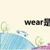 wear是什么意思中文（wears）