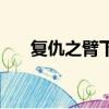 復仇之臂下載（復仇之臂中文變態版）
