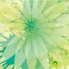Silv水晶眼膠