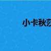 小卡秋莎重機槍圖片（小卡秋莎）