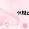 休塔西裝怎么樣（休塔正裝）