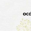 ocd游戲(verycd游戲)