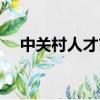 中關村人才市場官網（中關村人才市場）