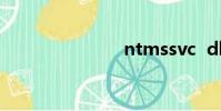 ntmssvc dll
