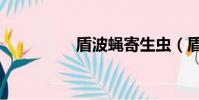 盾波蠅寄生蟲(盾波蠅)