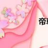 帝尊 書評（尊帝憐后）