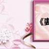 《妻子的誘惑》好看嗎?