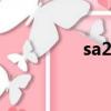 sa21/2什么意思（sa2）