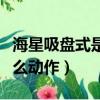 海星吸盤式是什么動作體位(海星吸盤式是什么動作)