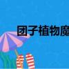 團子植物魔法師txt（團子植物魔法師）