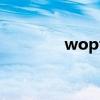 wopti utilities已停止工作