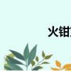 火鉗劉明是什么梗（火鉗）