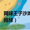 網球王子沙灘排球崩壞老年組（網球王子沙灘排球）