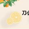 刀小刀的QQ（qq軍刀）