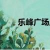 樂峰廣場店鋪一覽圖（樂峰購物網）