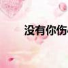 沒有你傷心歌詞（我沒有傷心歌詞）