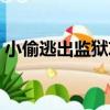 小偷逃出監獄攻略視頻（小偷逃出監獄攻略）