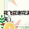 花飛花謝花滿天劇情分集介紹（花飛花謝花滿天）