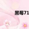 黑莓7100V手機（黑莓7100v）
