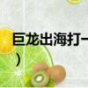 巨龍出海打一城市名稱（巨輪出海打一城市名）