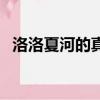 洛洛夏河的真實故事（夏河和洛洛的故事）