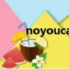 noyoucannot什么意思（noyou）