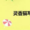 靈香貓寫的小說(靈貓香的小說)