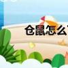倉鼠怎么下載（倉鼠運奶酪中文版）