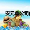 安元鼎公司的背景 康師傅（安元鼎公司）