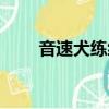 音速犬練級最快方法（音速犬配招）