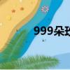 999朵玫瑰花語（9朵玫瑰花語）