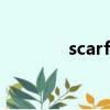 scarf(gloves是什么意思)