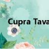 Cupra Tavascan證明電動SUV可以瘋狂 