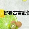 好看古言武俠小說（好看的古典武俠小說）