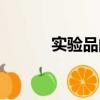 實驗品的英文怎么說（實驗品）