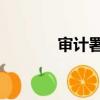 審計署8號文（審計署8號令）