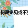 何晟銘見或不見歌詞意思（何晟銘 見或不見）