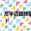 左半邊翅膀歌詞是什么意思（左半邊翅膀歌詞）