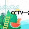 CCTV一次廣告費（cctv廣告費用）