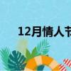 12月情人節是什么顏色（12月情人節）