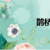 鵲橋 歌曲（鵲橋匯歌詞）