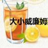 大小威廉姆斯什么關系（大小威廉姆斯）