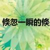 倏忽一瞬的倏是什么意思（倏然是什么意思）