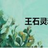 王石靈魂的臺階（靈魂的臺階）