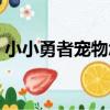 小小勇者寵物怎么合成（小小忍者寵物合成）