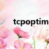 tcpoptimizer使用（tcp optimizer）