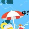 中興u795（中興u700）