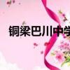 銅梁巴川中學錄取分數線（銅梁巴川中學）